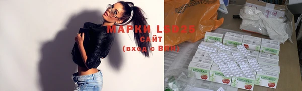 прущие грибы Вяземский