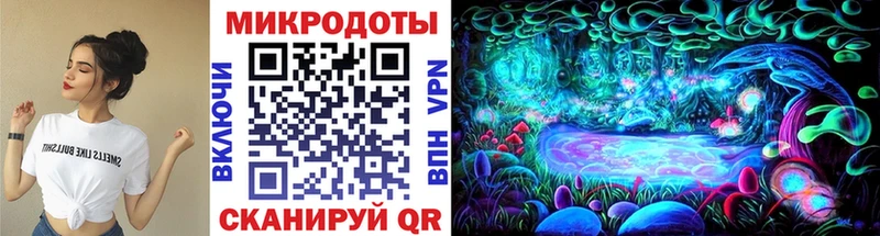 Галлюциногенные грибы Magic Shrooms  OMG как войти  Тайшет 