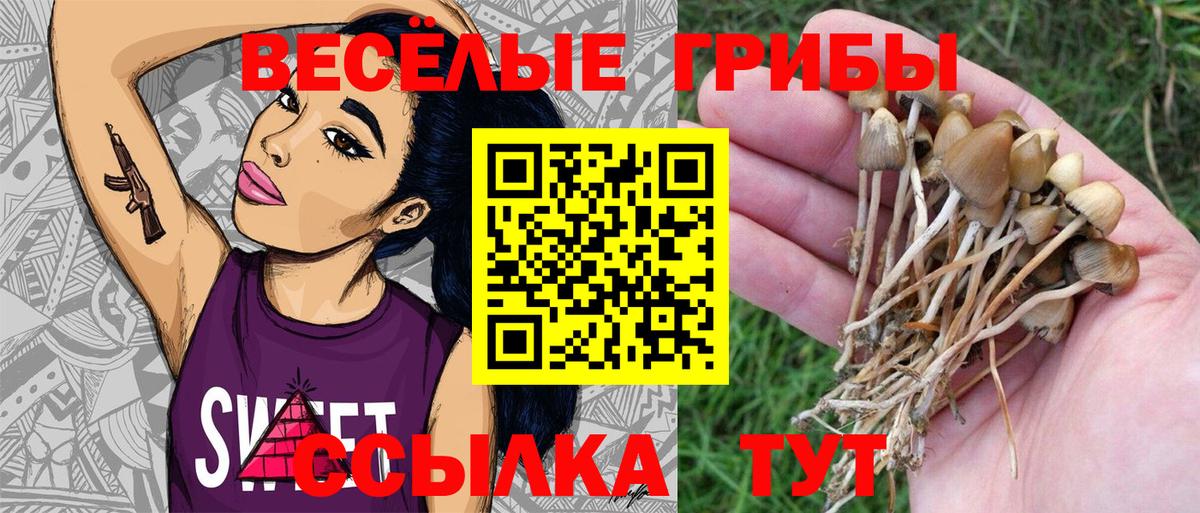 Псилоцибиновые грибы GOLDEN TEACHER  Вход с VPN  Тайшет 