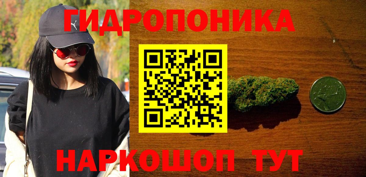МАРИХУАНА планчик Тайшет